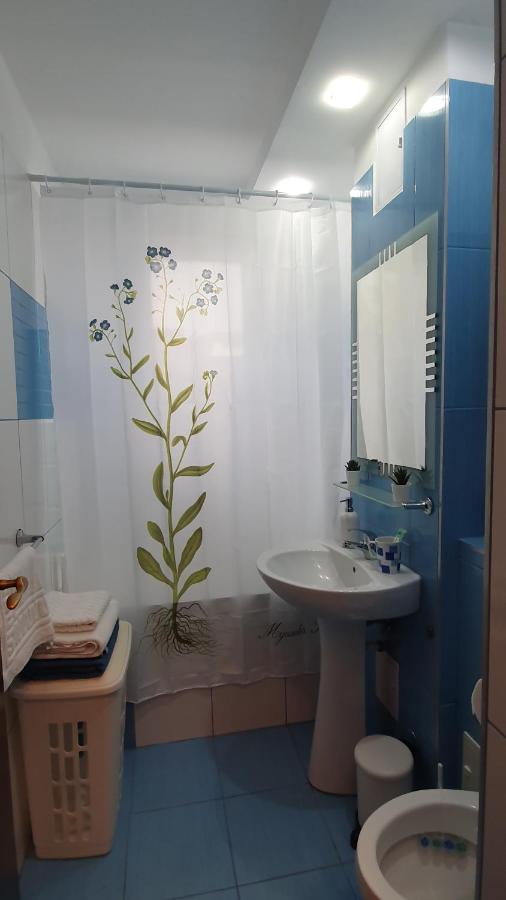 Apartament Cosbuc Бая Маре Екстериор снимка